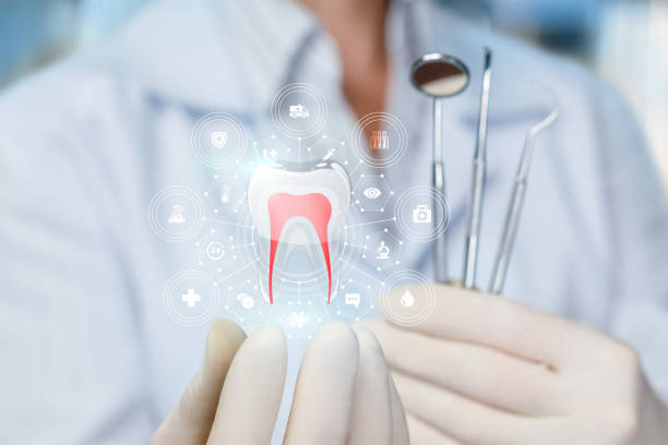 Best Dental Exams and Cleanings  in Stanwood, WA